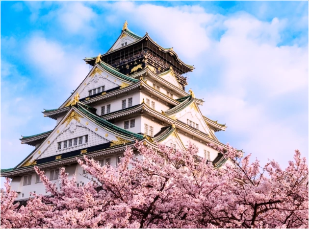 오사카-벚꽃-개화시기