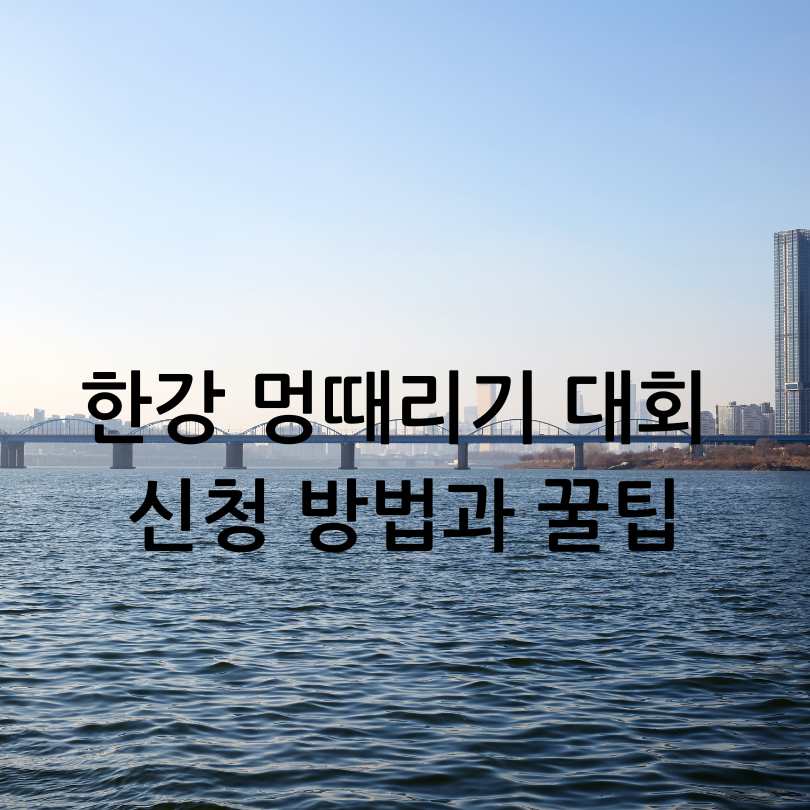 2025 한강 멍때리기 대회 신청 방법과 꿀팁