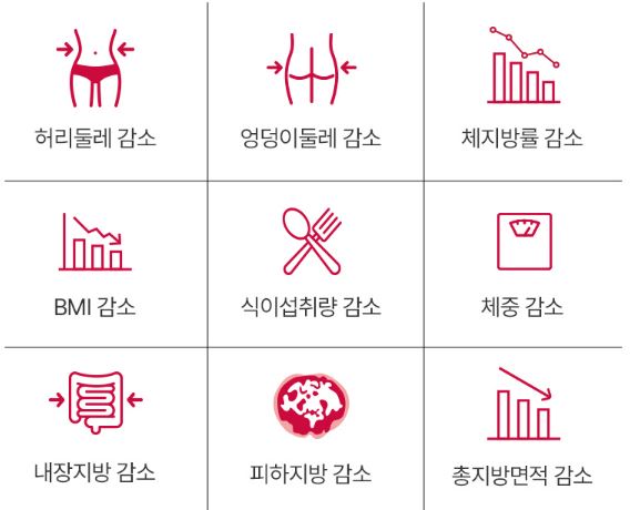 버닝올로지-디데이-효과