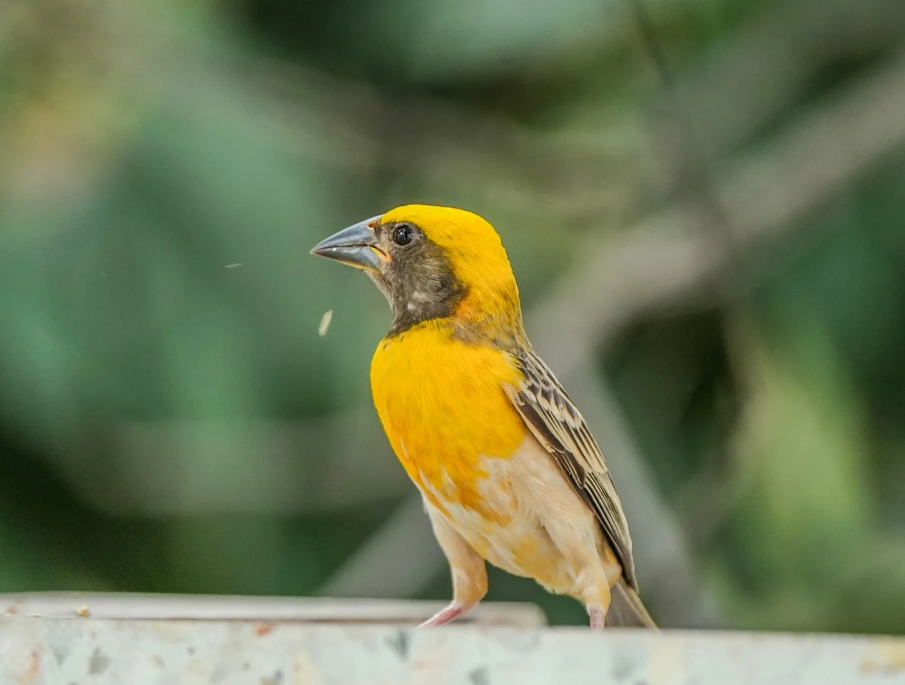 송파구 9시 이후 늦게까지 운영하는 맛집 Best4
