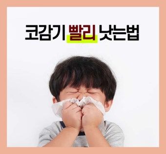 콧물 감기 빨리 낫는법