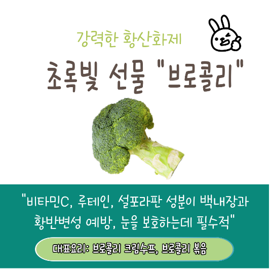 눈 건강에 좋은 브로콜리