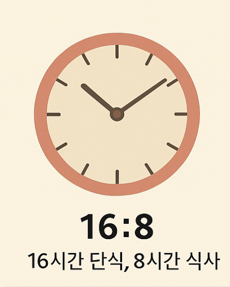 대표적인 간헐적단식의 방법인 16:8 이미지의 포스터