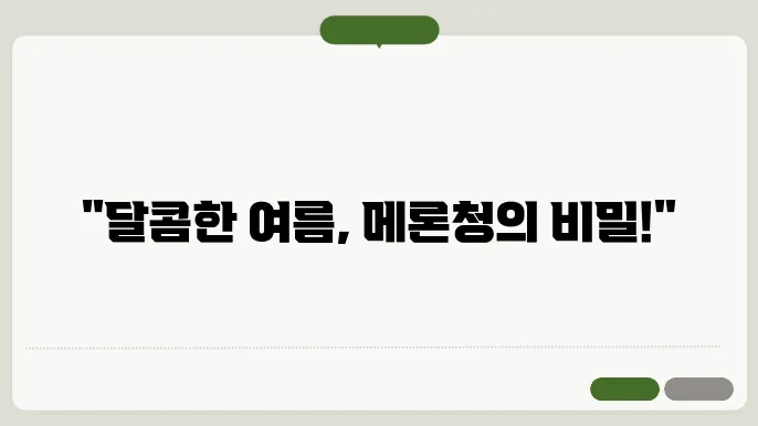 메론청의 매력