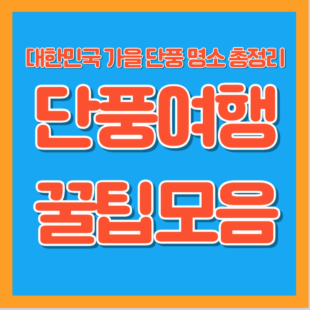 단풍여행 꿀팁모음