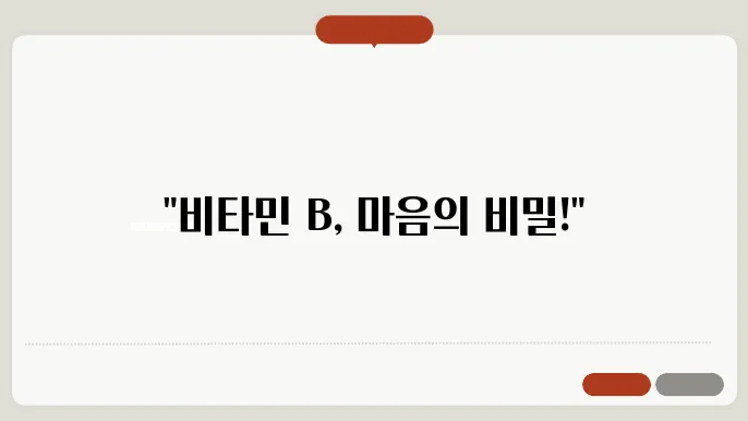 비타민 B군의 정신 음기