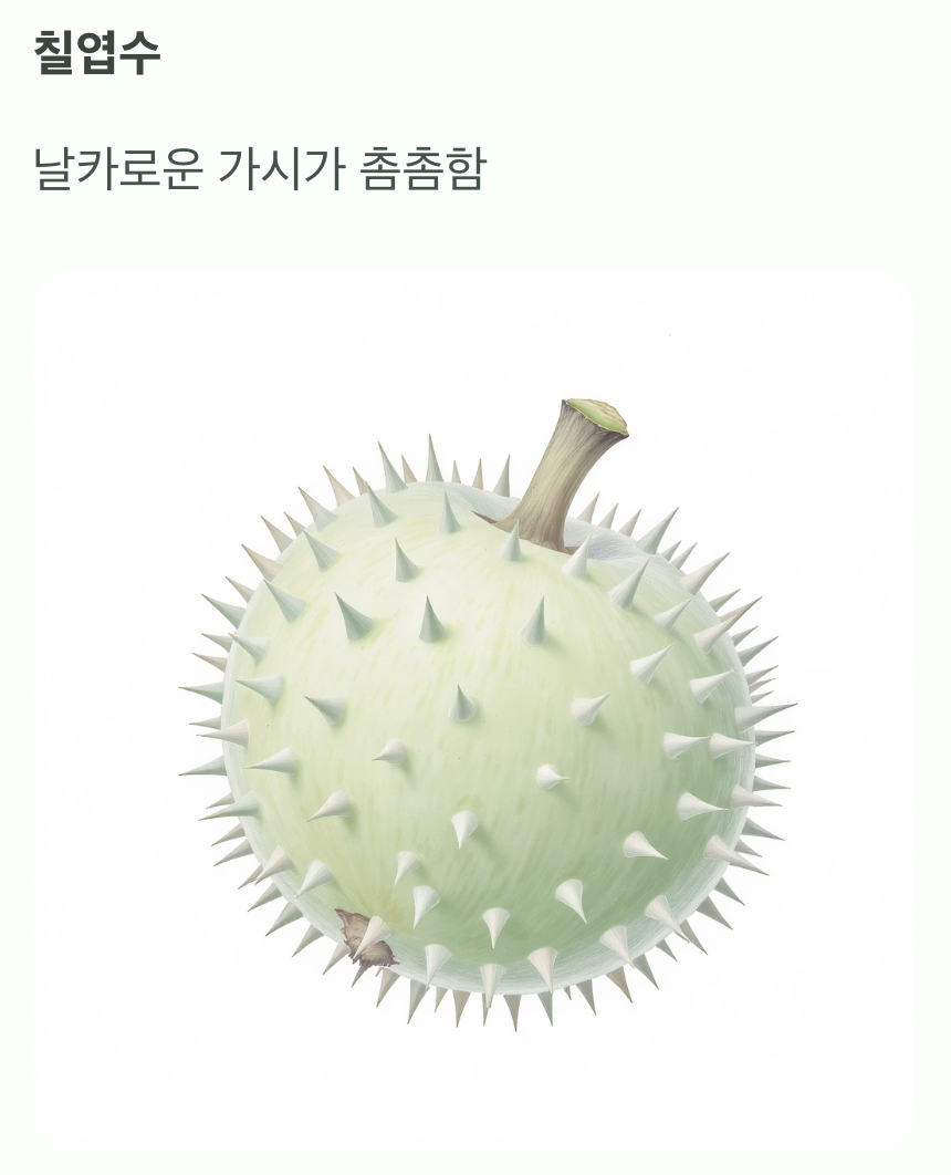 세 번째, 열매 껍질을 만져보세요