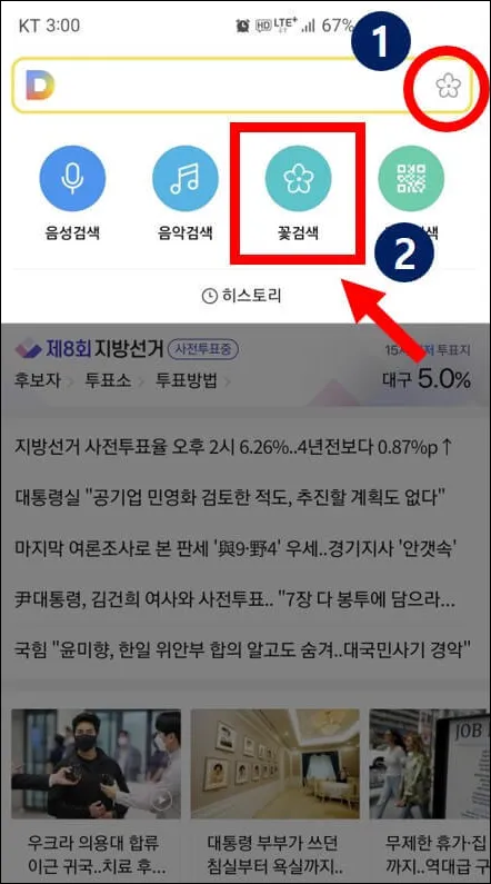 다음-꽃검색