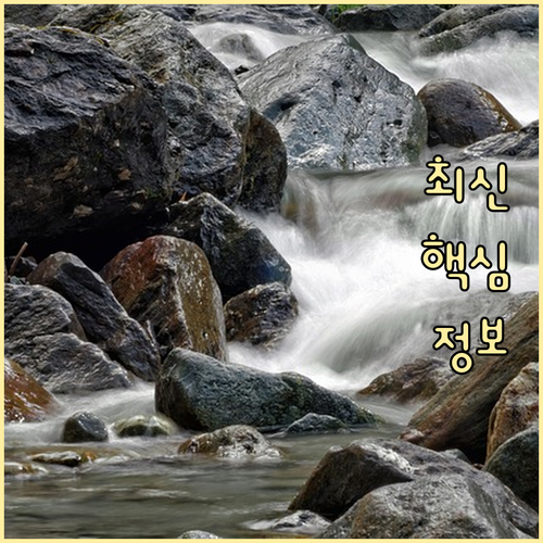 헷갈리는 쌍문동 쓰레기 배출, 이제 ..