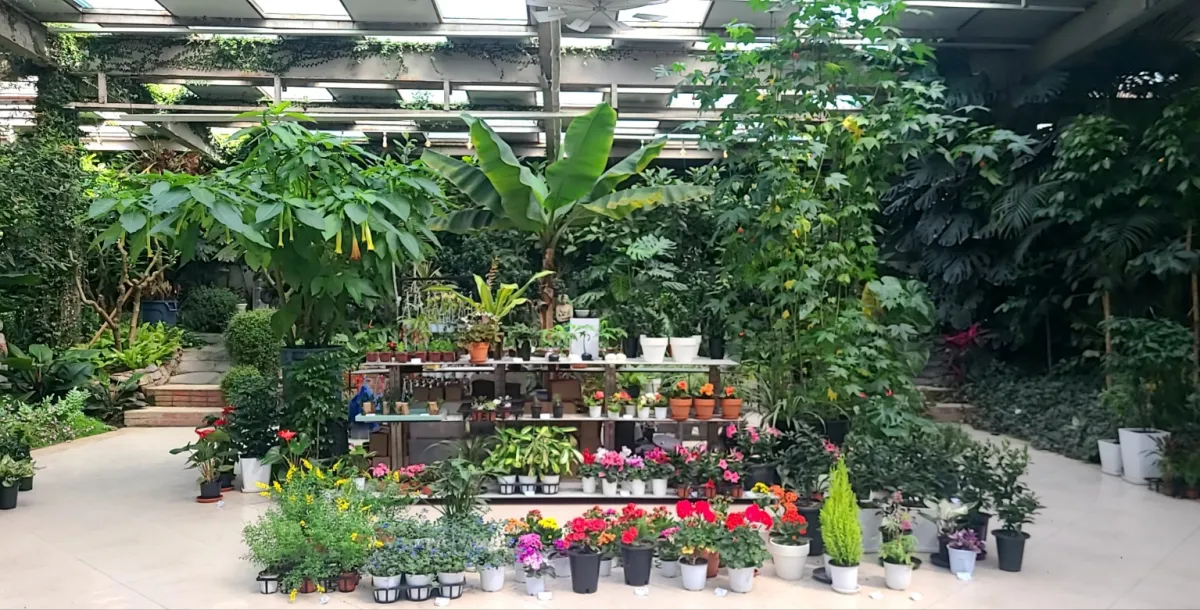 양주오랑주리카페-내부모습-작은화분들-꽃화분들-나란히선반에놓여있음