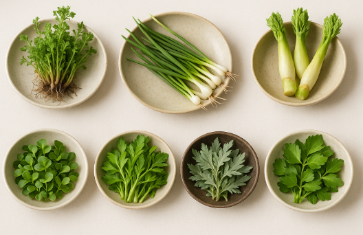 향긋한 봄나물 7가지의 효능 영양성분에 대해 알아보자