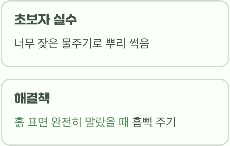 과한 사랑은 금물, 현명한 물주기