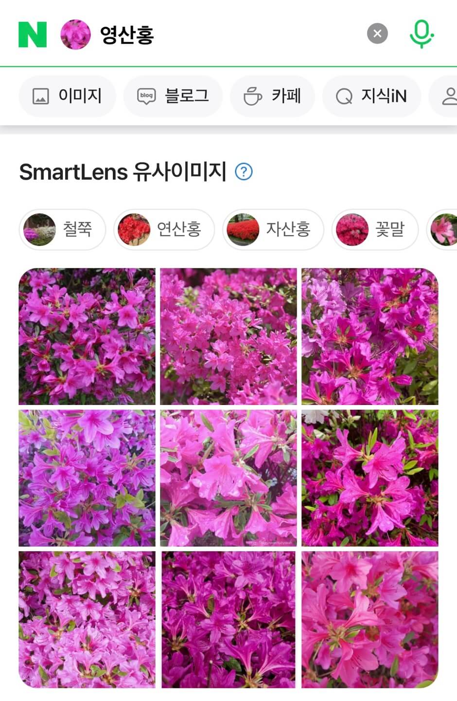꽃이름 찾기