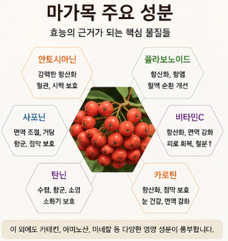 마가목-효능-성질-진액-부작용-효과
