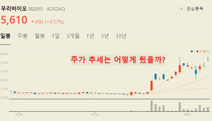 해리스 관련주 대장주 TOP10 총정리
