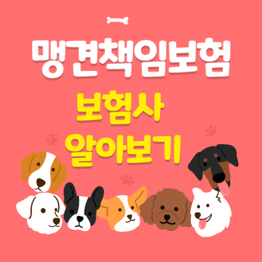 맹견책임보험 삽화