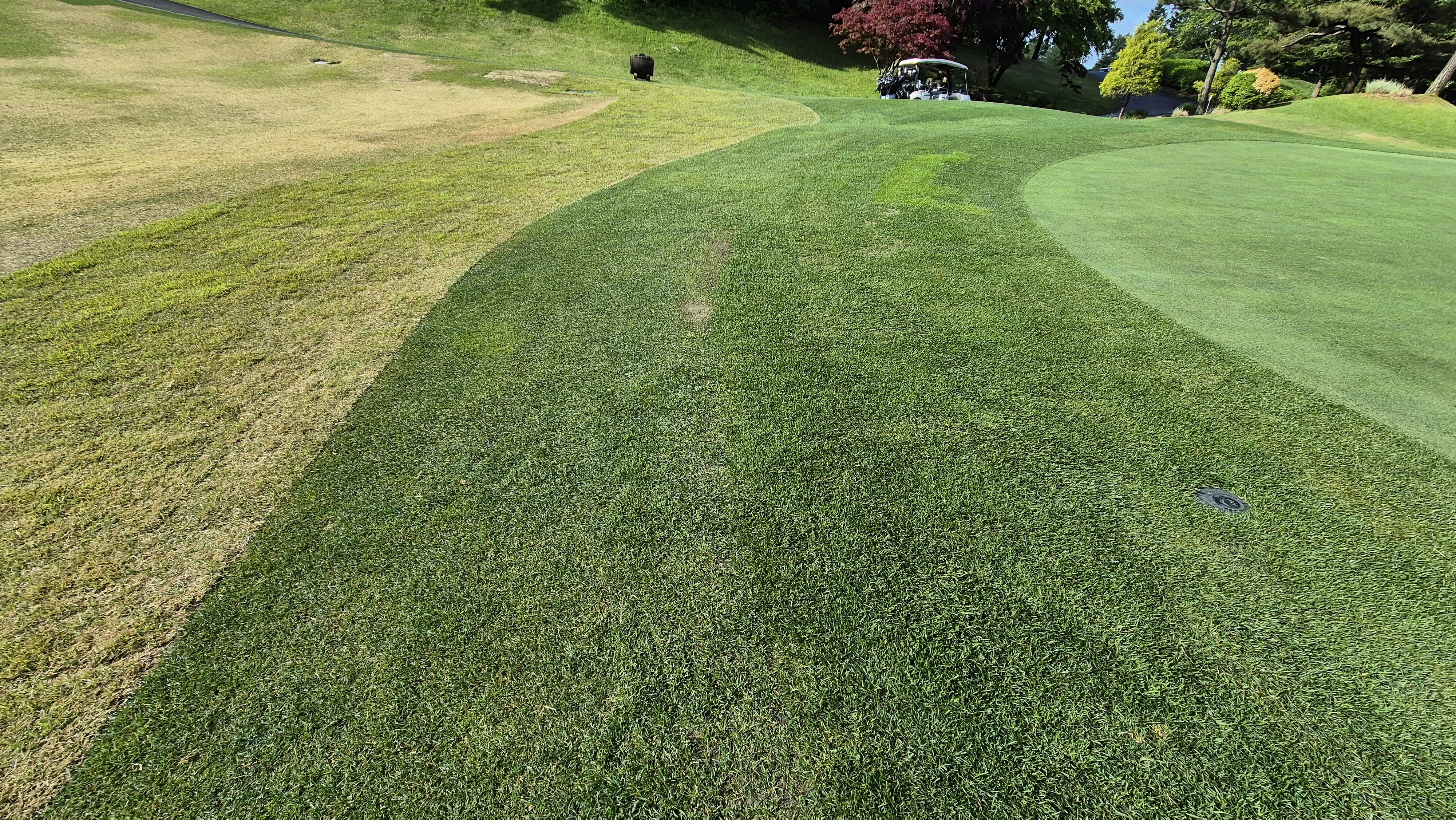 파크밸리gc 라운드 후기