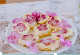 2025년 진달래 개화시기