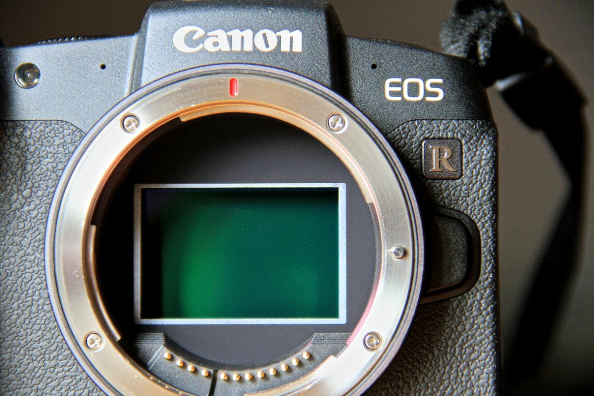 캐논 EOS R8 Mark II 관련 이미지 3