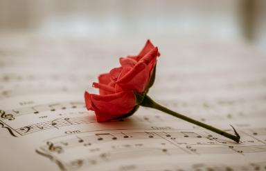 북유럽 스타일 홈카페 음악 추천