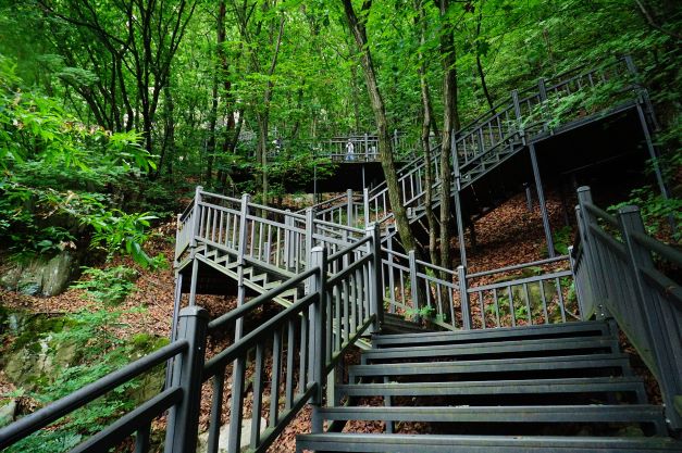 지그재그로 놓인 급경사 오르막 데크 계단길, 짙은 회색, 어두운 숲,
