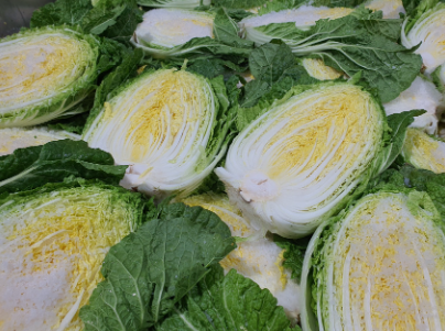 슬기로운 청년농부생활