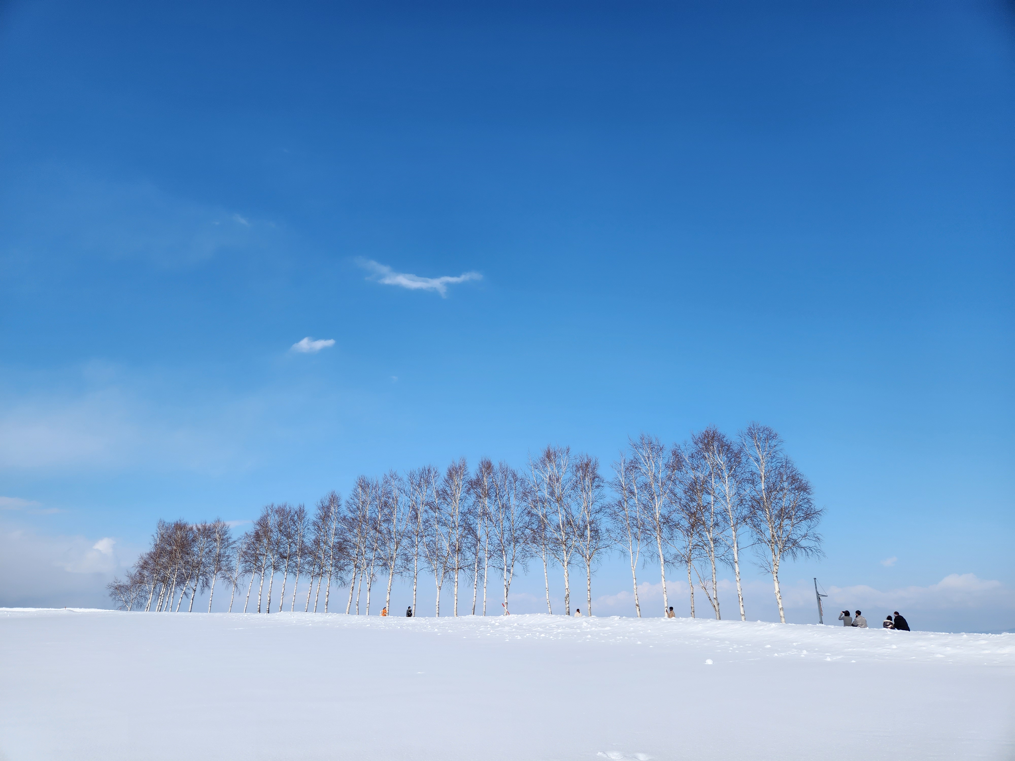 삿포로 겨울 여행 관련 사진