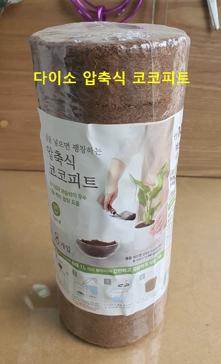 다이소 압축식 코코피트