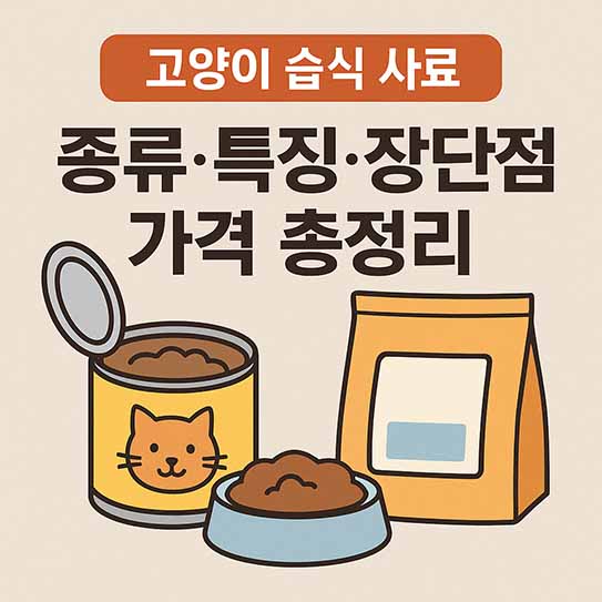 고양이 습식 사료 종류 특징 장단점 가격 총정리