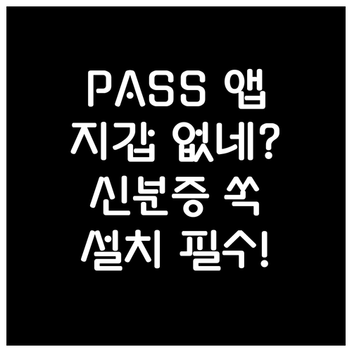 PASS 앱 설치 방법과 실생활 모바..