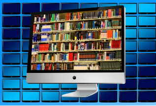 디지털 제품 판매 성공 사례