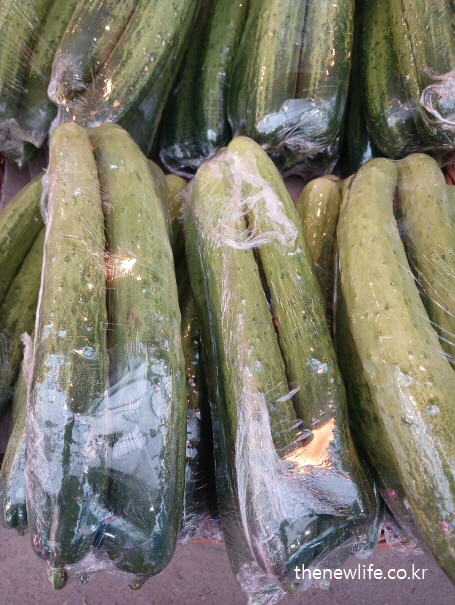 -오이 영양성분 (100g 기준) 설명을 적합한 오이