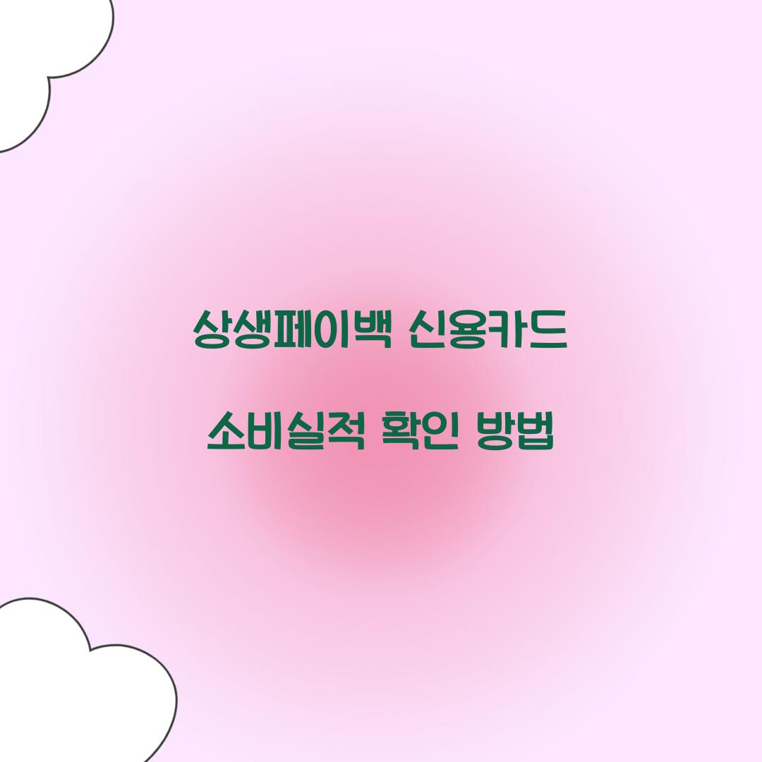 상생페이백 신용카드 소비실적 확인 방법