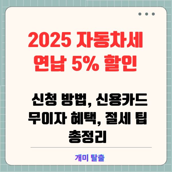 2025 자동차세 연납 5% 할인: 신청 방법, 신용카드 무이자 혜택, 절세 팁 총정리