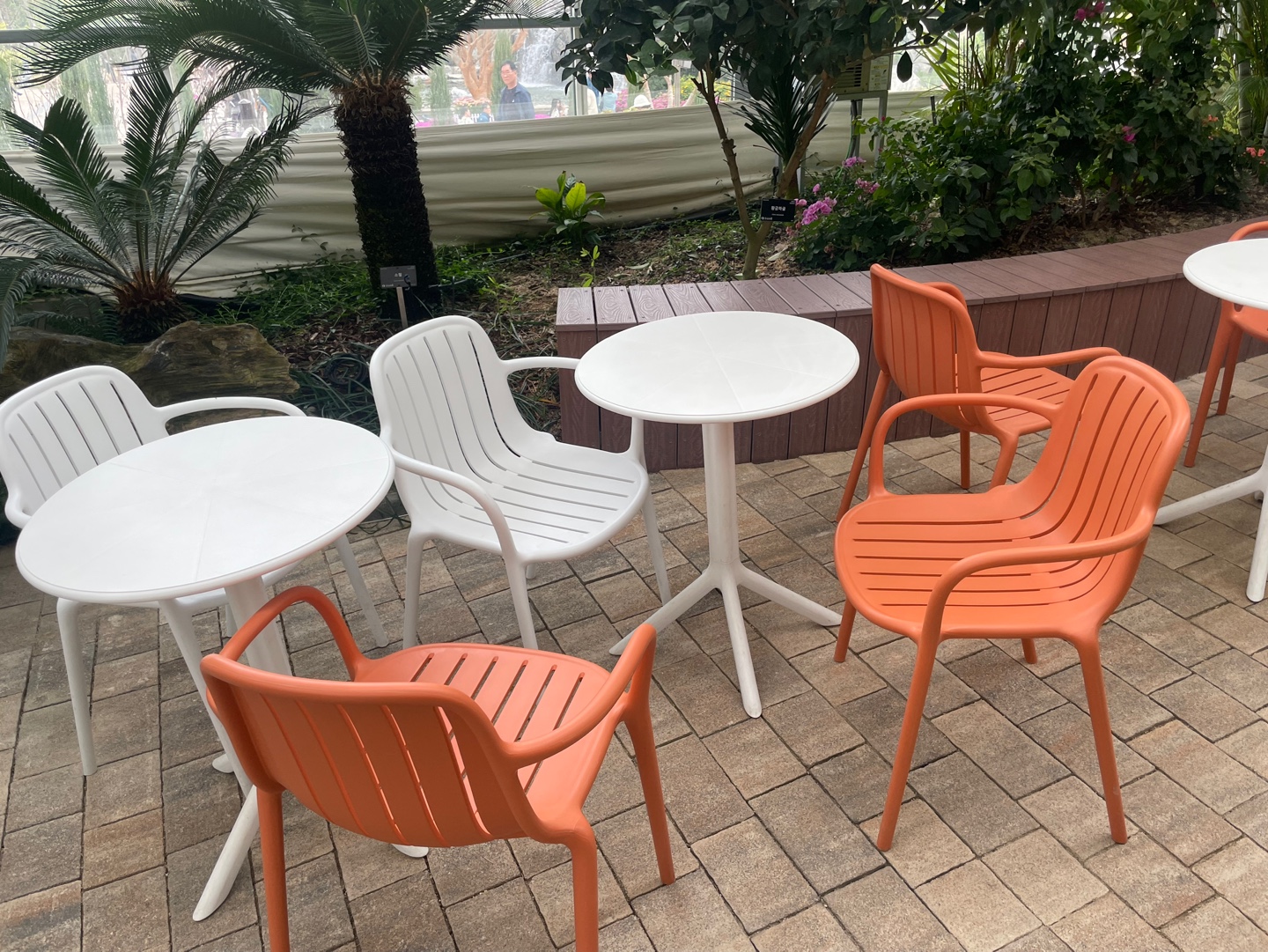 용인 자작나무숲 베툴라 대형 베이커피 카페