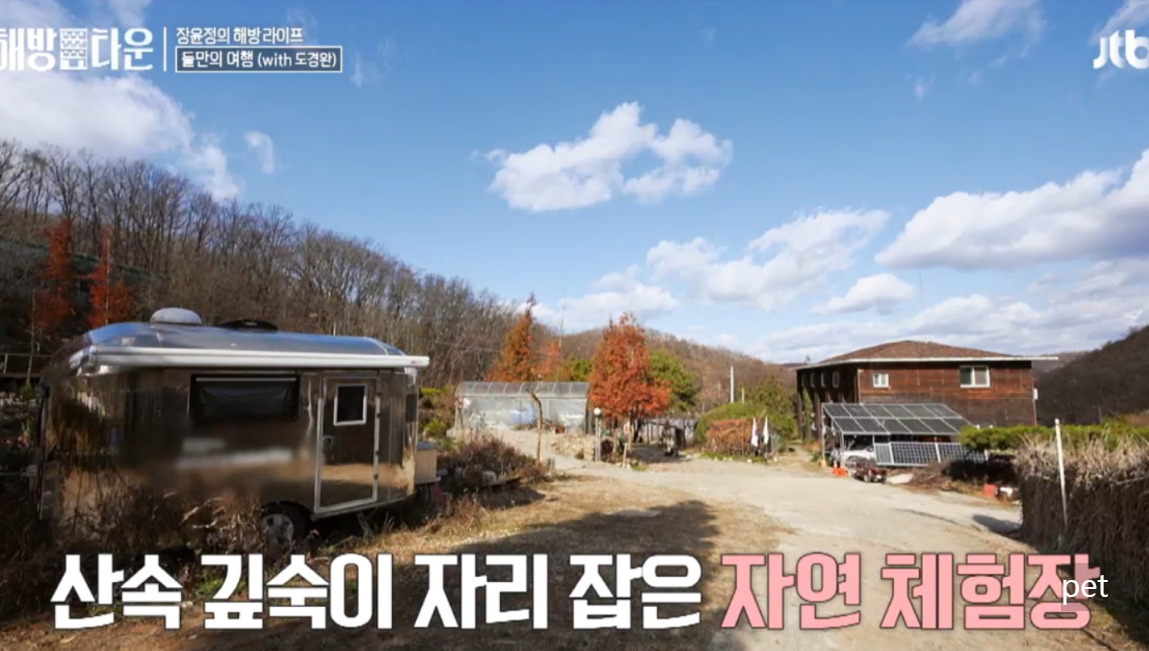 경기-연천-아미골캠핑장-예약-방법-애견-동반-가격-주소-시간-후기