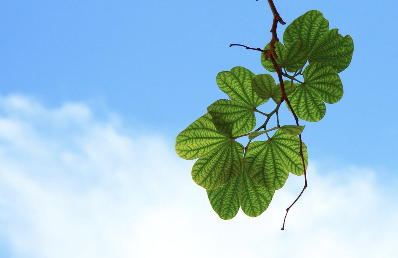 신생아 피부 트러블 관리법