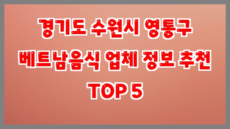 경기도 수원시 영통구 베트남음식