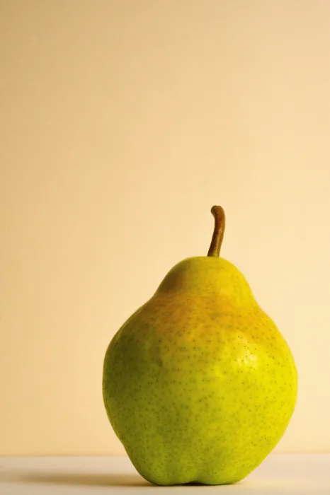 돌배주-담그기-효능-관련-사진