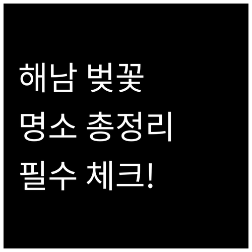 2026년 해남 벚꽃 나들이 시기 명..