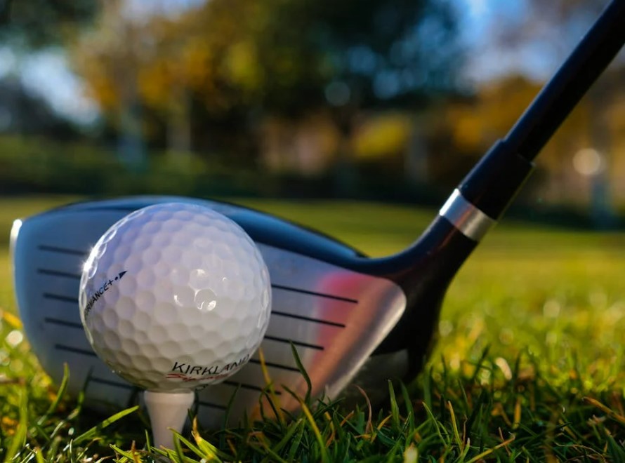 프리미엄 골프장 혜택 비교 총정리 (2025년 최신)