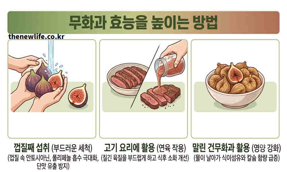 무화과 효능 높이는 먹는 방법