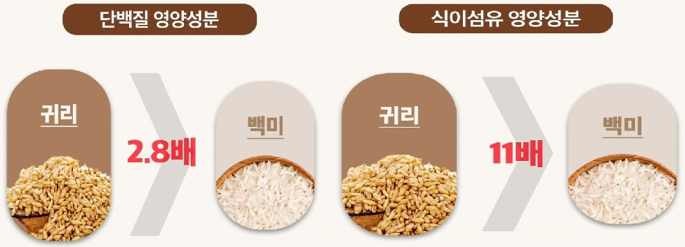귀리 효능 오트밀 효능 먹는법 칼로리 영양성분 베타글루칸