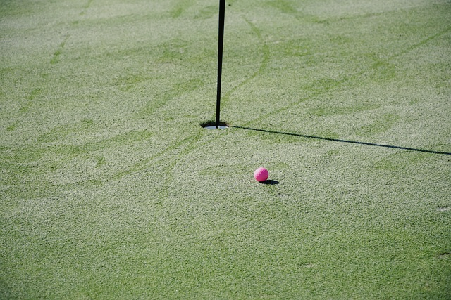 골프공의 공기역학