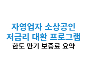저금리 대환대출 소상공인 자영업자 신청 방법 및 한도 상환기간 요약 총정리 바로가기
