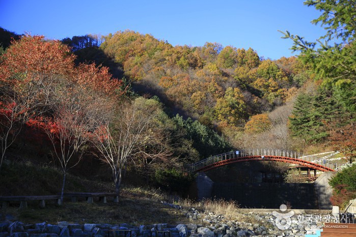 의성 가볼만한곳 베스트10