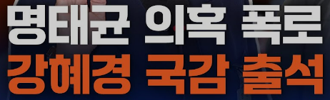 강혜경 폭로 명태균 리스트 27명 공개 파장