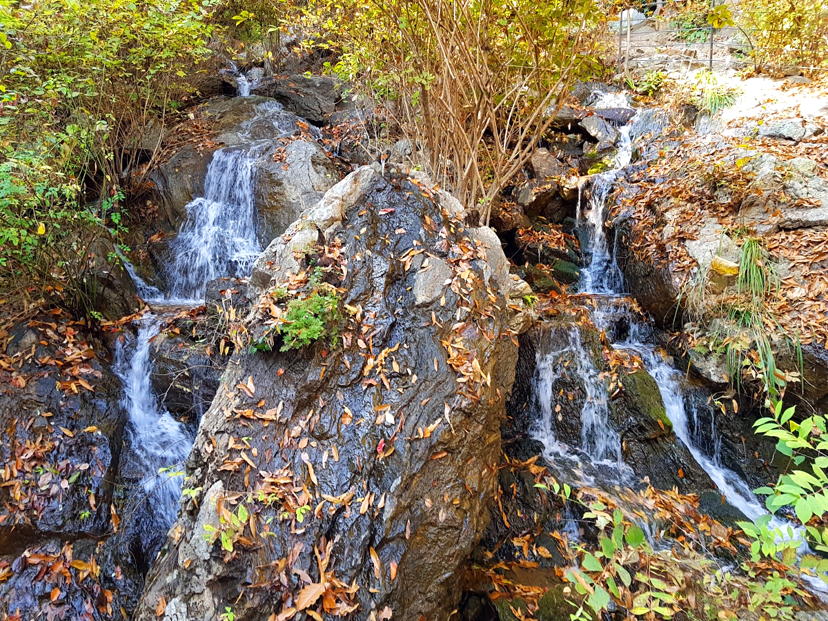 경기도 광주 곤지암 화담숲 단풍시즌, 가을 풍경 퍼레이드와 주변 맛집