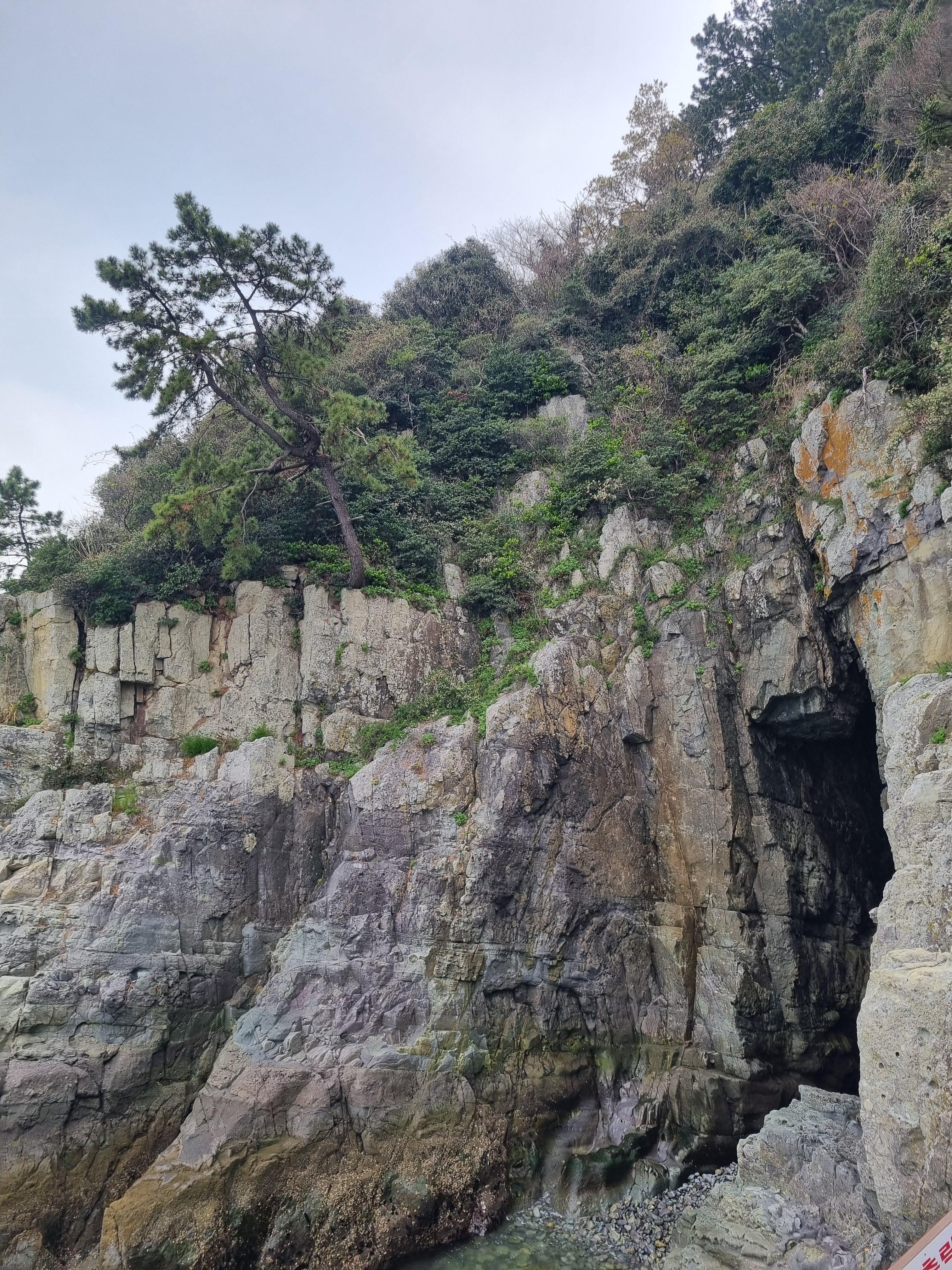 여수 오동도