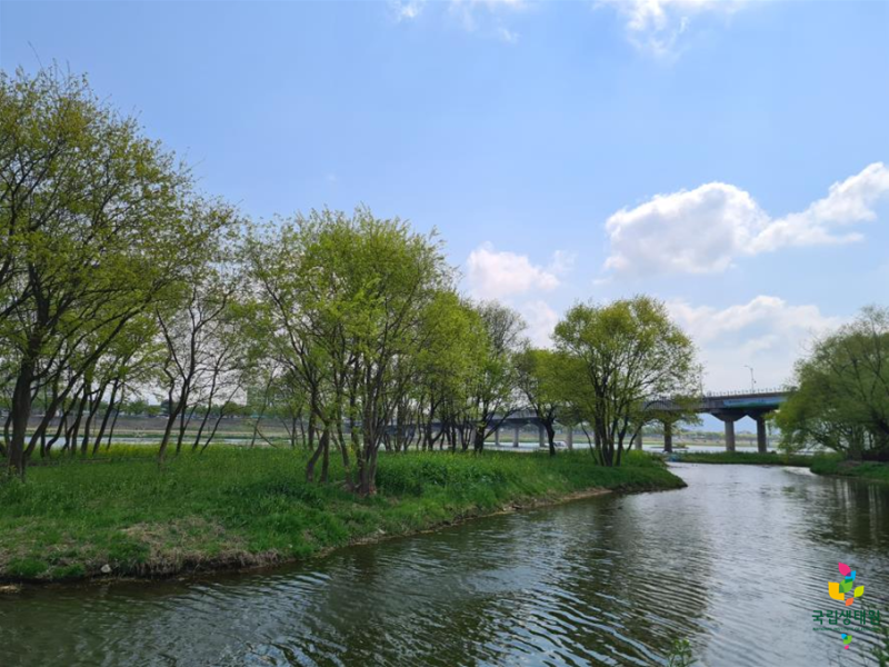 금장대-습지공원